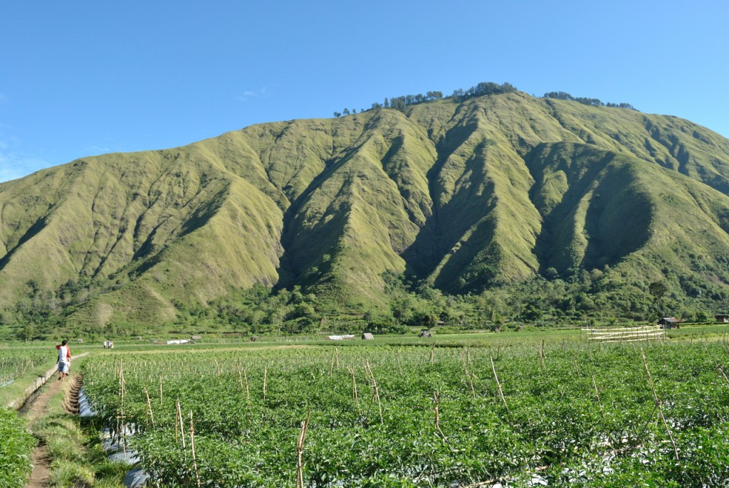 Rinjani Trekking Lombok Tour